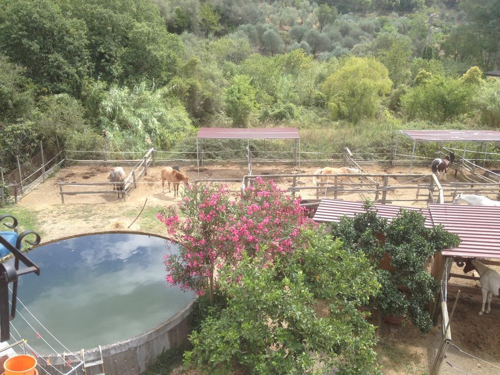Il Piccolo Ranch Hotel Cervo Exterior photo